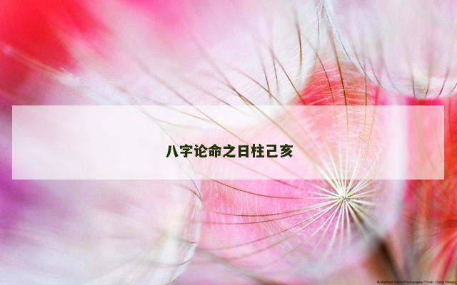 八字论命之日柱己亥