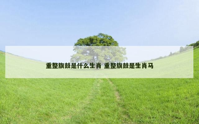 重整旗鼓是什么生肖 重整旗鼓是生肖马