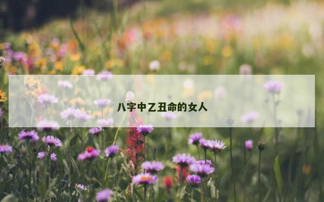 八字中乙丑命的女人