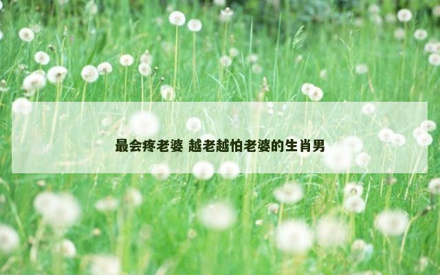 最会疼老婆 越老越怕老婆的生肖男