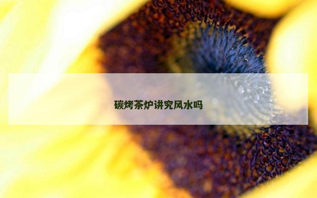 碳烤茶炉讲究风水吗