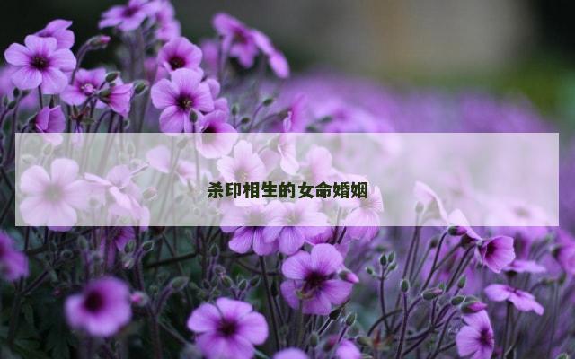 杀印相生的女命婚姻