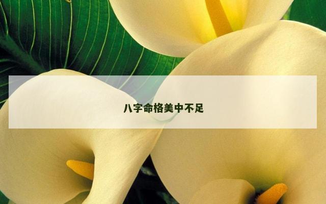 八字命格美中不足