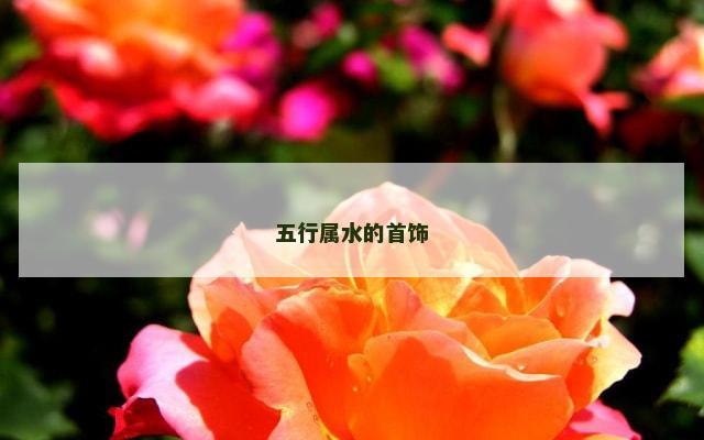 五行属水的首饰