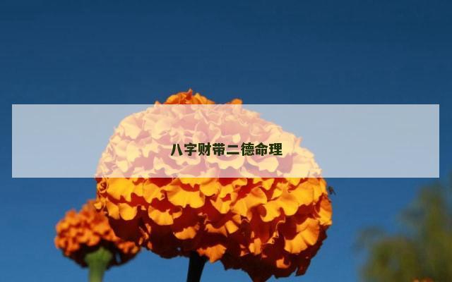 八字财带二德命理