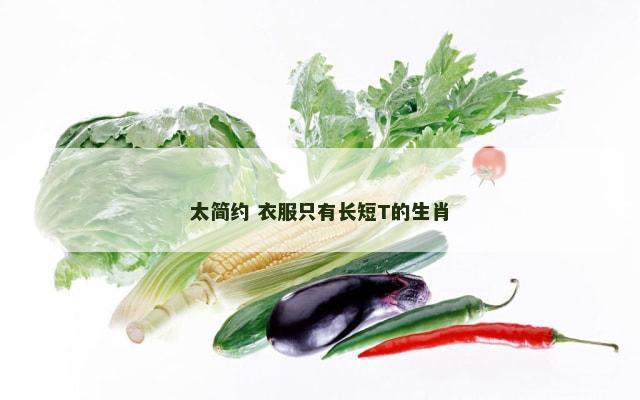 太简约 衣服只有长短T的生肖