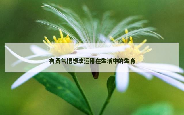 有勇气把想法运用在生活中的生肖