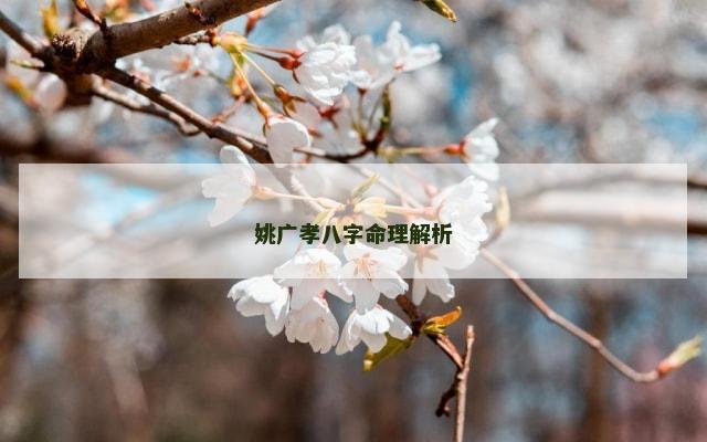 姚广孝八字命理解析