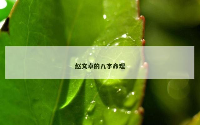 赵文卓的八字命理