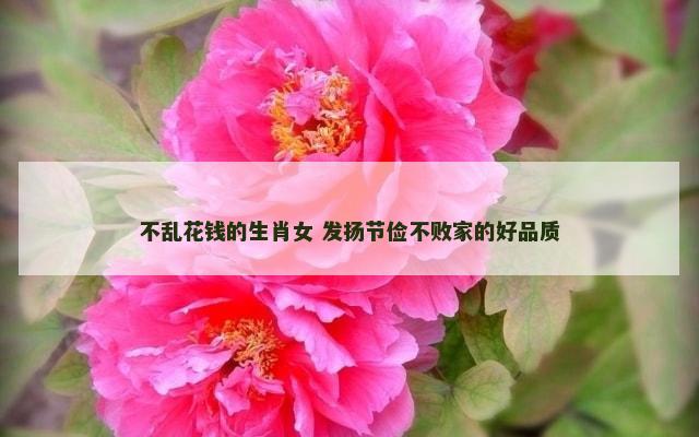 不乱花钱的生肖女 发扬节俭不败家的好品质