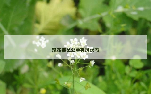 现在都是公墓有风水吗