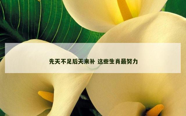 先天不足后天来补 这些生肖最努力
