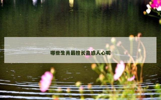 哪些生肖最擅长蛊惑人心呢