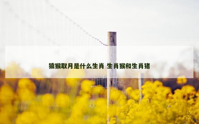 猿猴取月是什么生肖 生肖猴和生肖猪