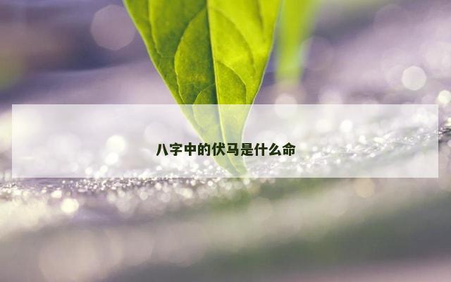 八字中的伏马是什么命