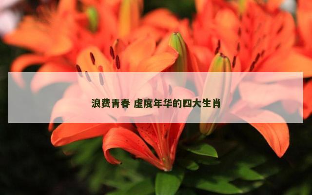浪费青春 虚度年华的四大生肖