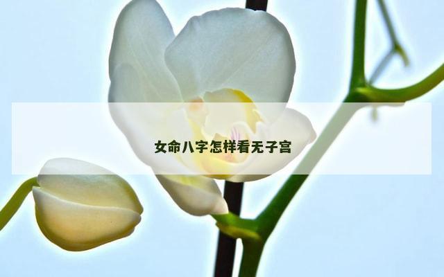 女命八字怎样看无子宫