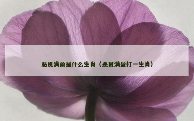 恶贯满盈是什么生肖（恶贯满盈打一生肖）