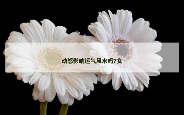 动怒影响运气风水吗?女
