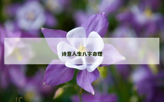 诗意人生八字命理
