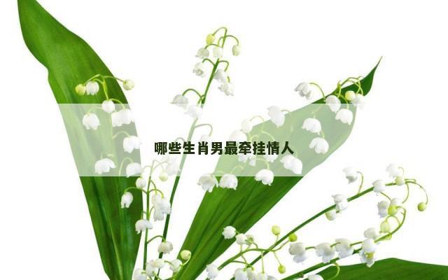哪些生肖男最牵挂情人