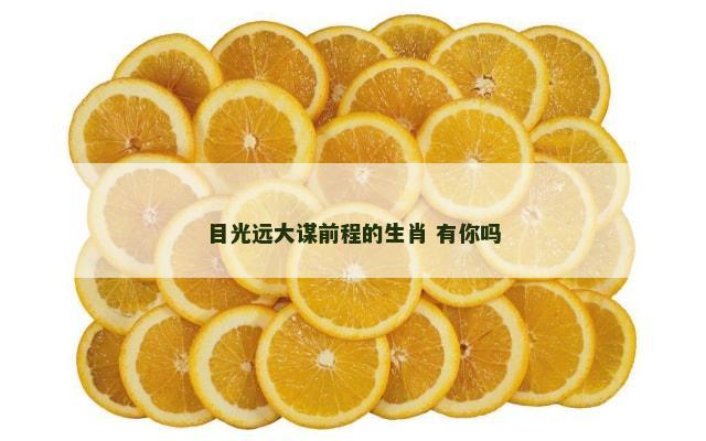 目光远大谋前程的生肖 有你吗