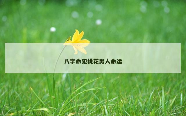 八字命犯桃花男人命运