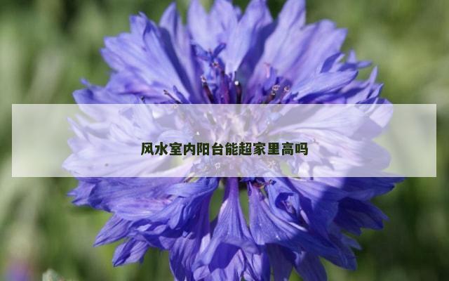 风水室内阳台能超家里高吗