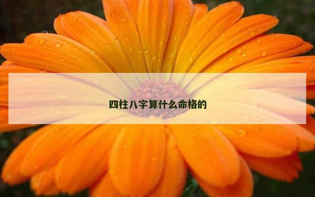 四柱八字算什么命格的