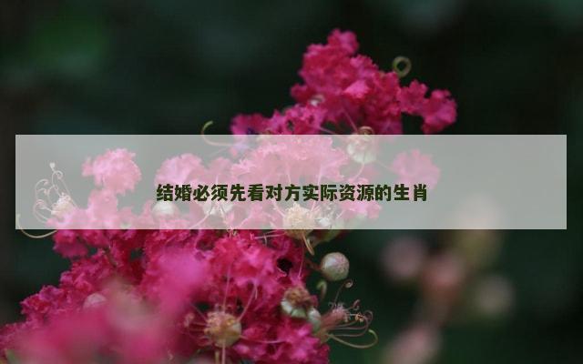 结婚必须先看对方实际资源的生肖
