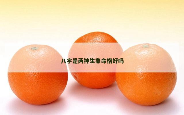 八字是两神生象命格好吗