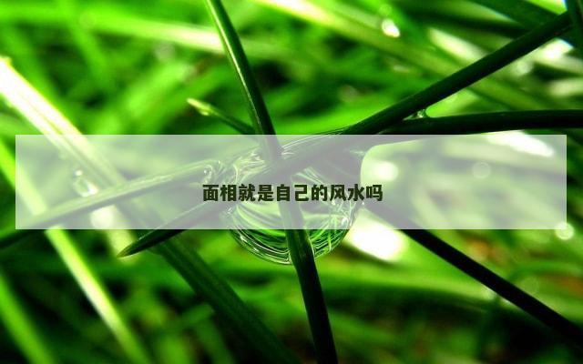 面相就是自己的风水吗