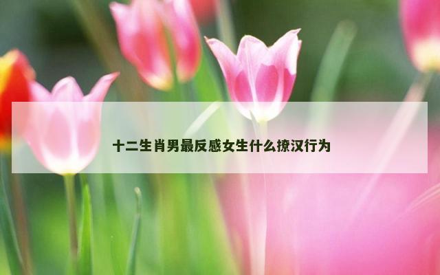 十二生肖男最反感女生什么撩汉行为