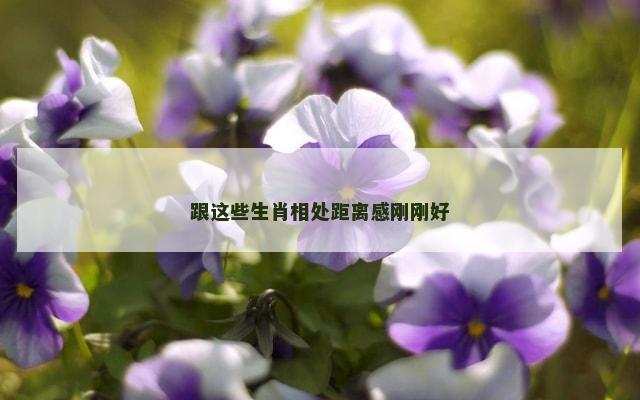 跟这些生肖相处距离感刚刚好