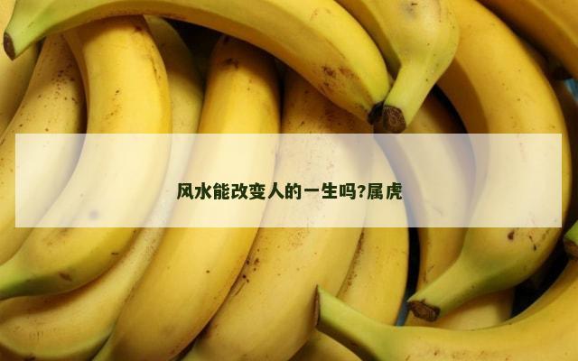 风水能改变人的一生吗?属虎