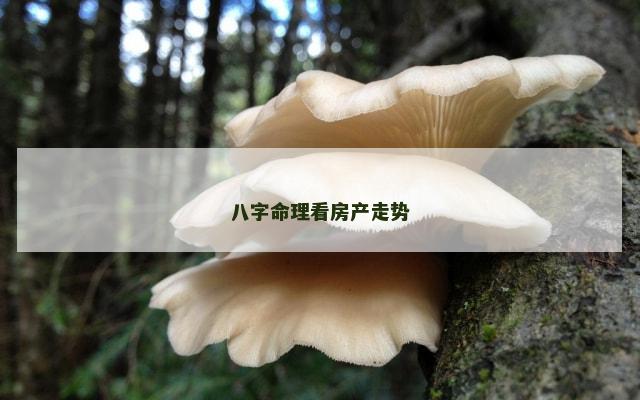 八字命理看房产走势