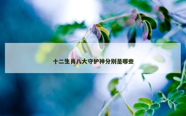 十二生肖八大守护神分别是哪些