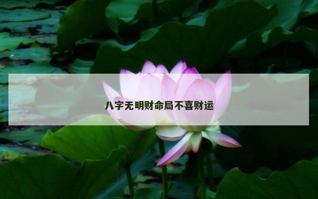 八字无明财命局不喜财运