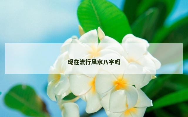 现在流行风水八字吗