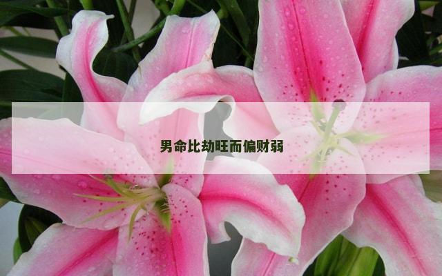 男命比劫旺而偏财弱