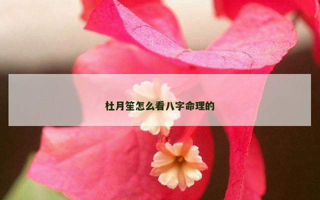 杜月笙怎么看八字命理的