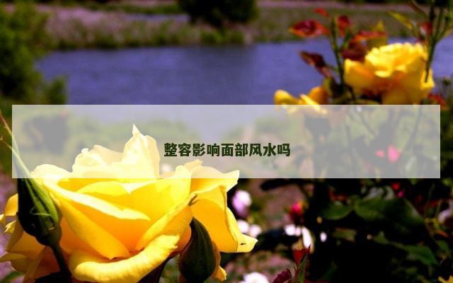 整容影响面部风水吗
