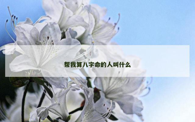 帮我算八字命的人叫什么