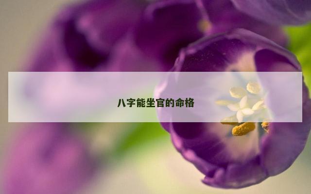 八字能坐官的命格