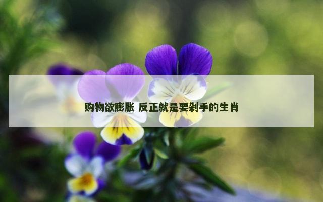 购物欲膨胀 反正就是要剁手的生肖