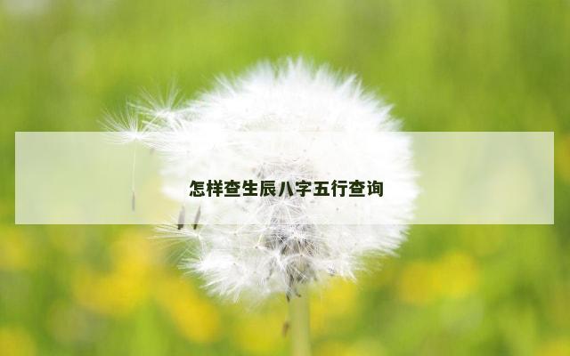 怎样查生辰八字五行查询