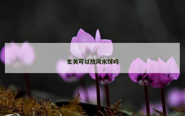 玄关可以放风水球吗