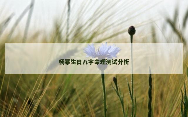 杨幂生日八字命理测试分析