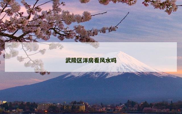 武陵区洋房看风水吗