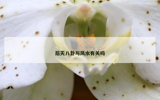 后天八卦与风水有关吗